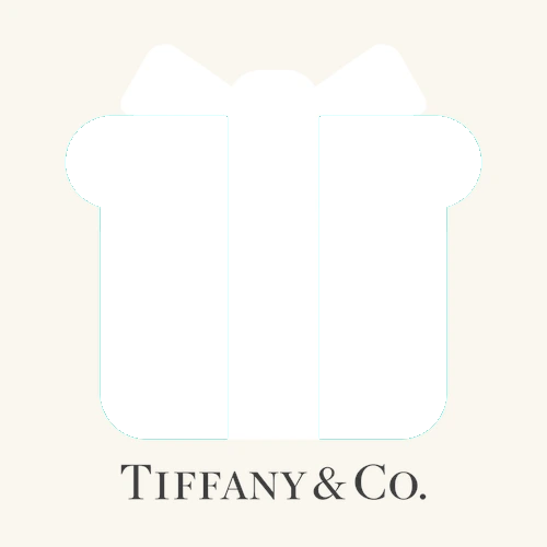 Tiffany & Co. Gift Box (Robin's Egg Blue)