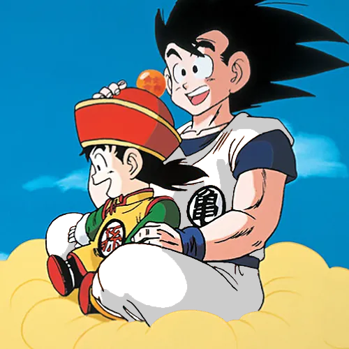 Goku Turtle Hermit Gi